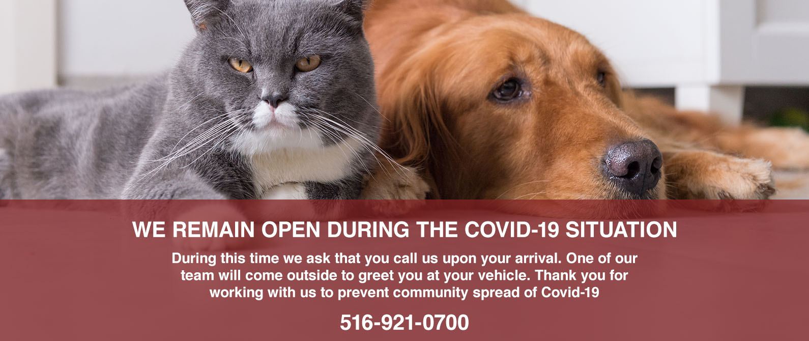 Open During the Covid-19 Situation
